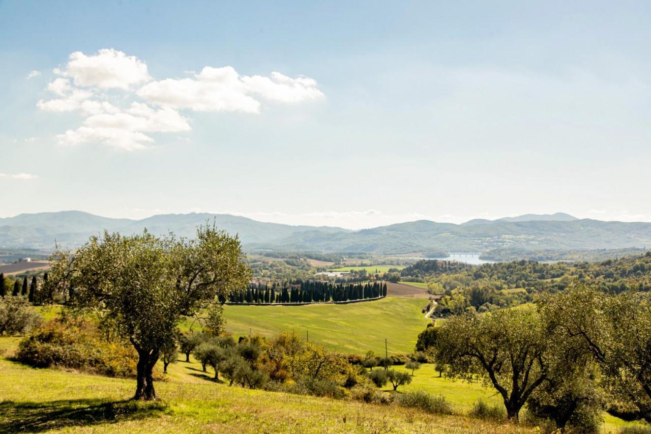 Borghetto Il Poggiolo Mugello - Affitti Brevi Italia Apartamento Scarperia Exterior foto